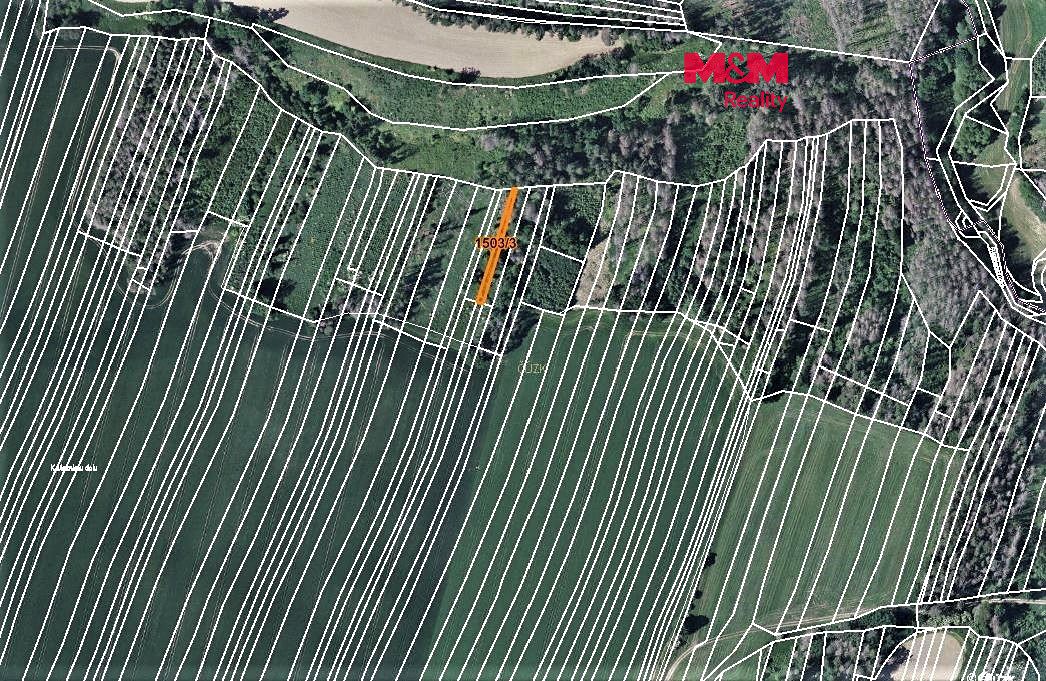 Prodej lesa 372 m², Trhový Štěpánov – fotka 1 z 3