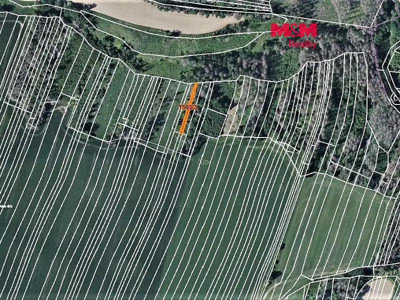 Prodej lesa 372 m², Trhový Štěpánov – náhled fotky 1