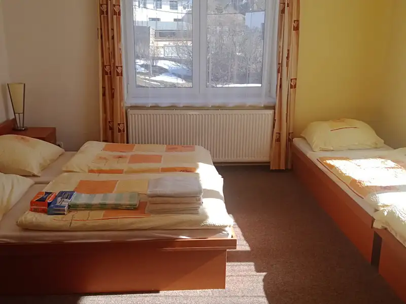 Prodej rodinného domu 600 m², pozemek 994 m², Zásada – náhled fotky 3