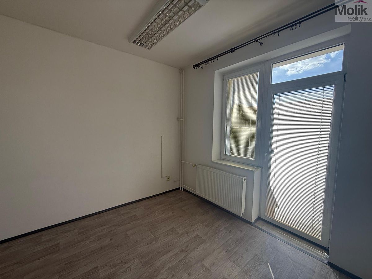 Pronájem bytu atypický 150 m² – fotografie 4