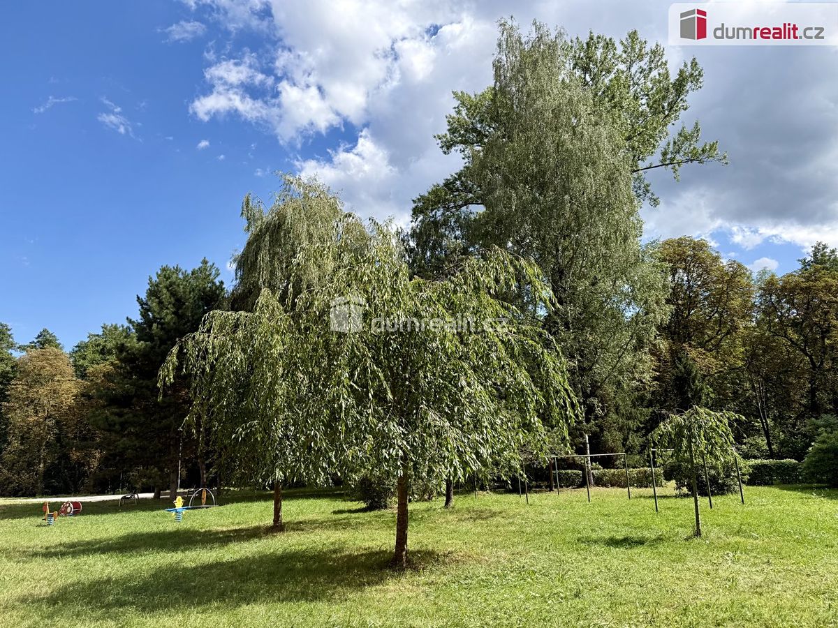 Prodej bytu 3+1 64 m²