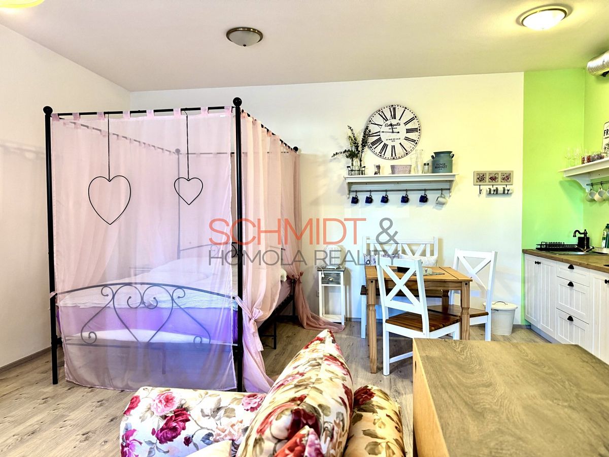 Pronájem bytu 1+kk 39 m² – fotografie 2