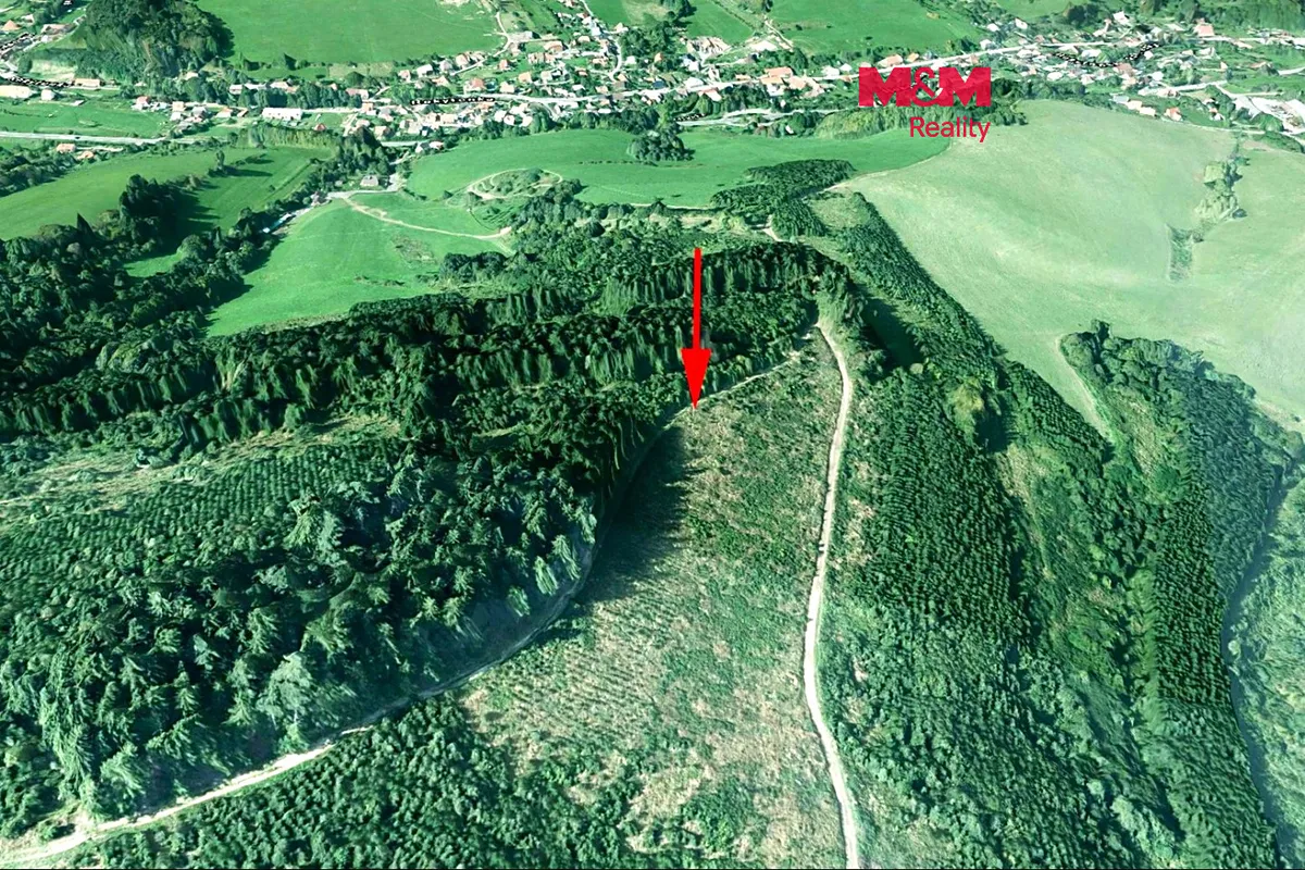 Prodej lesa 5445 m²
