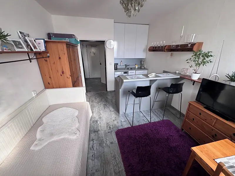 Prodej bytu 1+kk 23 m², Brno – náhled fotky 1