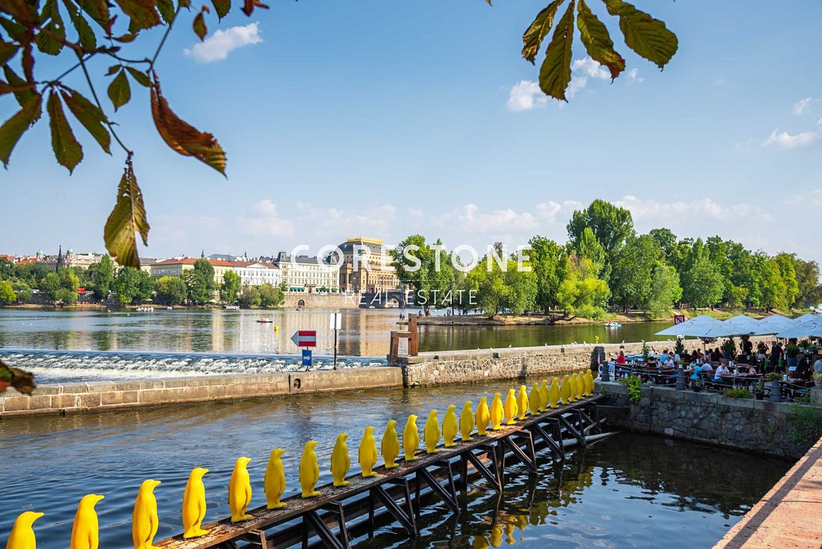 Prodej činžovního domu 900 m² – fotografie 3