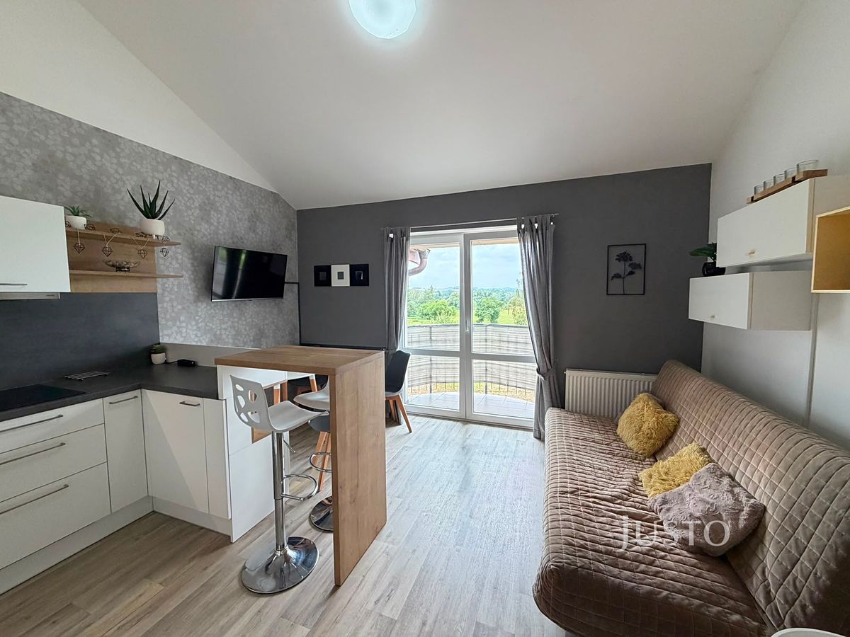 Pronájem bytu 2+kk 43 m² – fotografie 3