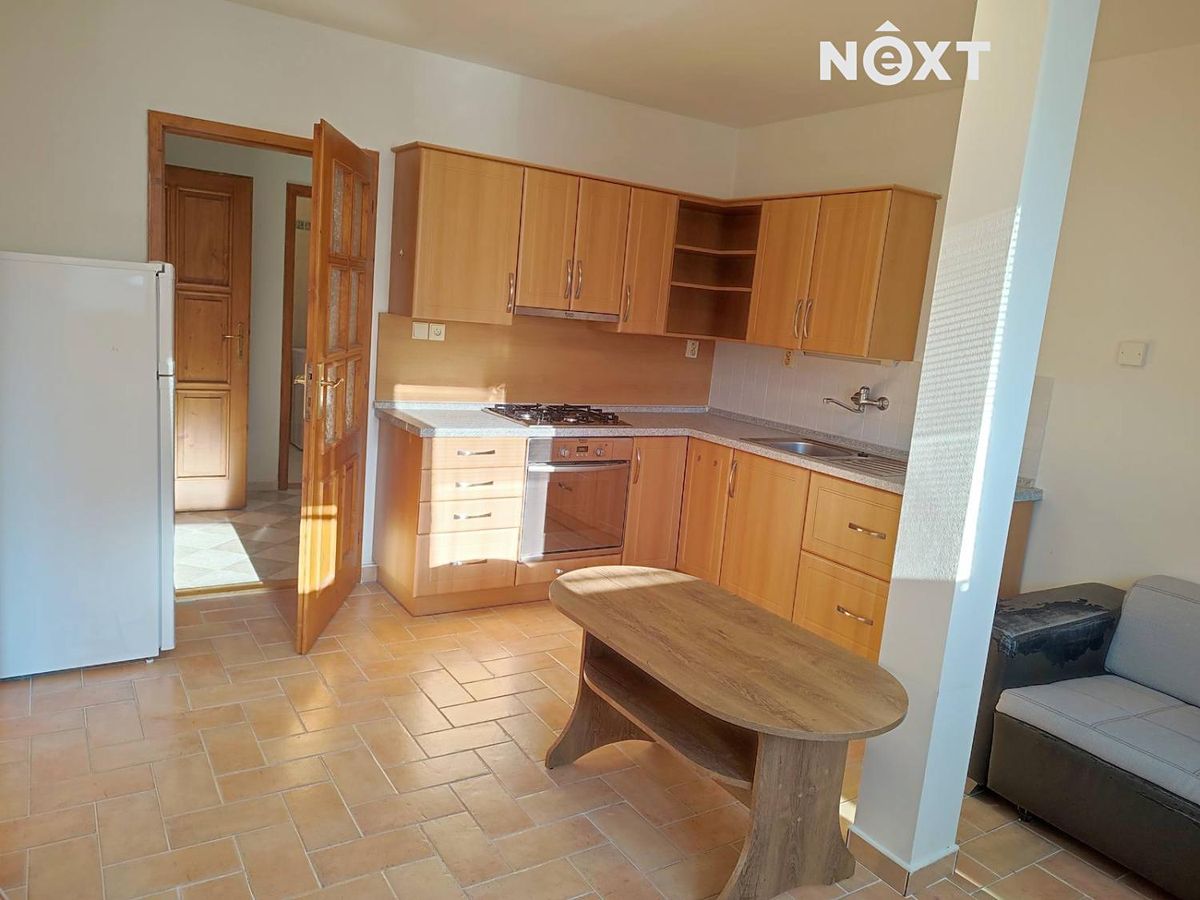 Pronájem bytu 1+1 47 m² – fotografie 3