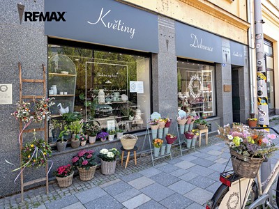 Prodej komerčního prostoru, 74 m² (2 z 12)