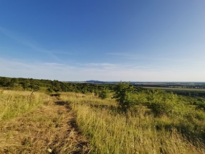 Prodej  zahrady 1 751 m²