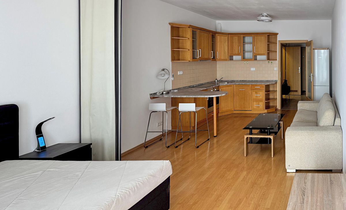 Pronájem bytu 1+kk 45 m² – fotografie 4