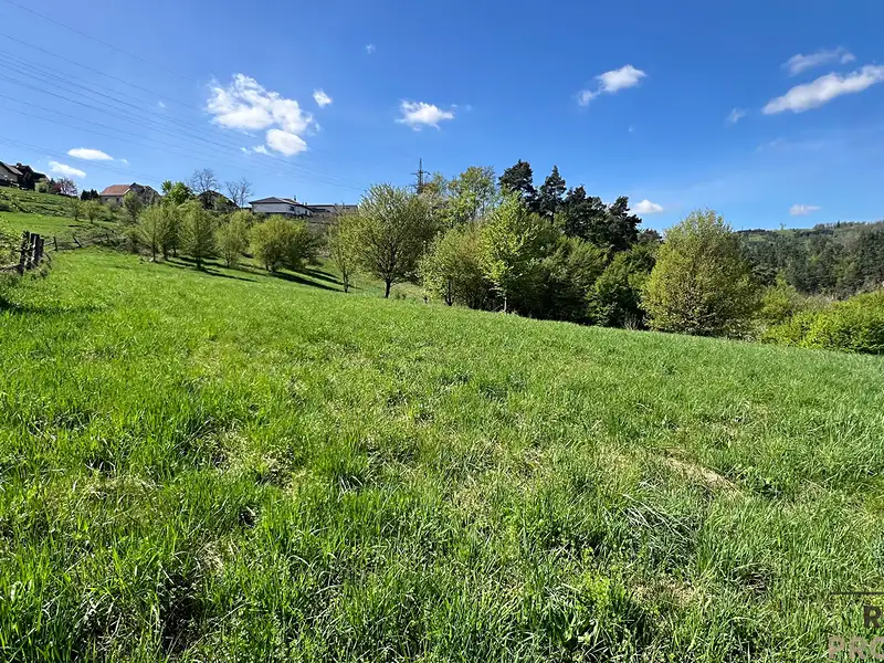 Prodej pozemku 10598 m², Blansko – náhled fotky 3