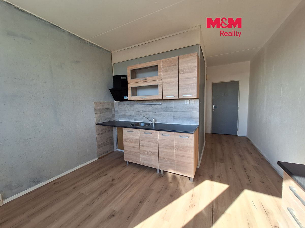 Pronájem bytu 1+1 40 m²