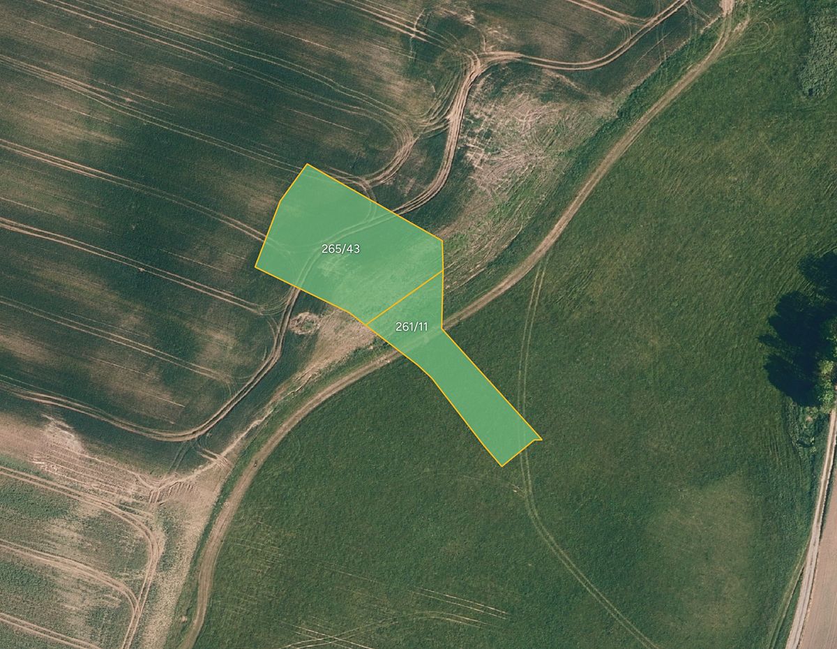 Prodej pole 3040 m²