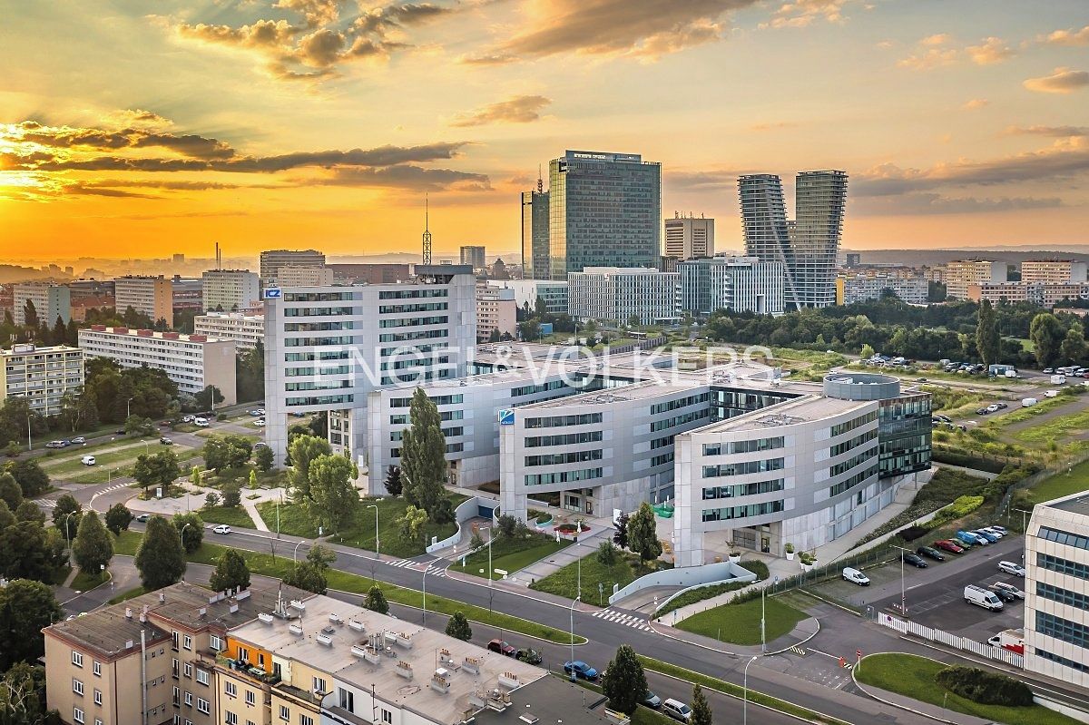 Pronájem kanceláře 372 m² – fotografie 2