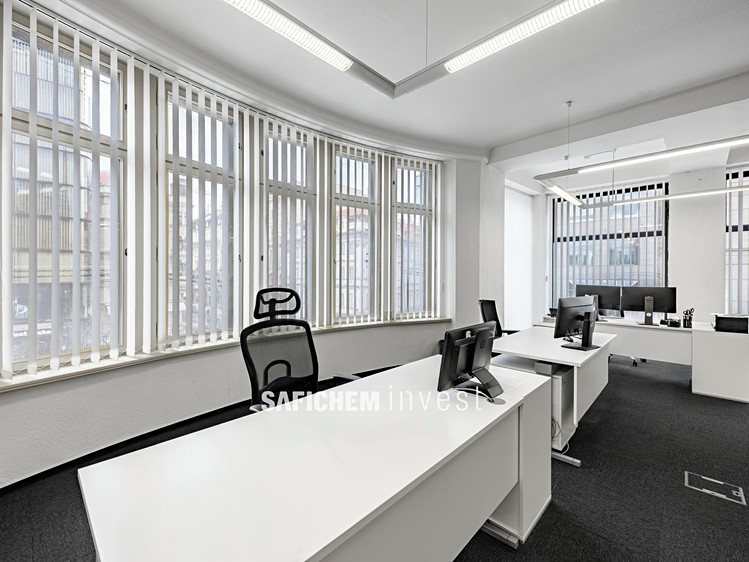 Pronájem komerčního prostoru, 170 m² (8 z 10)