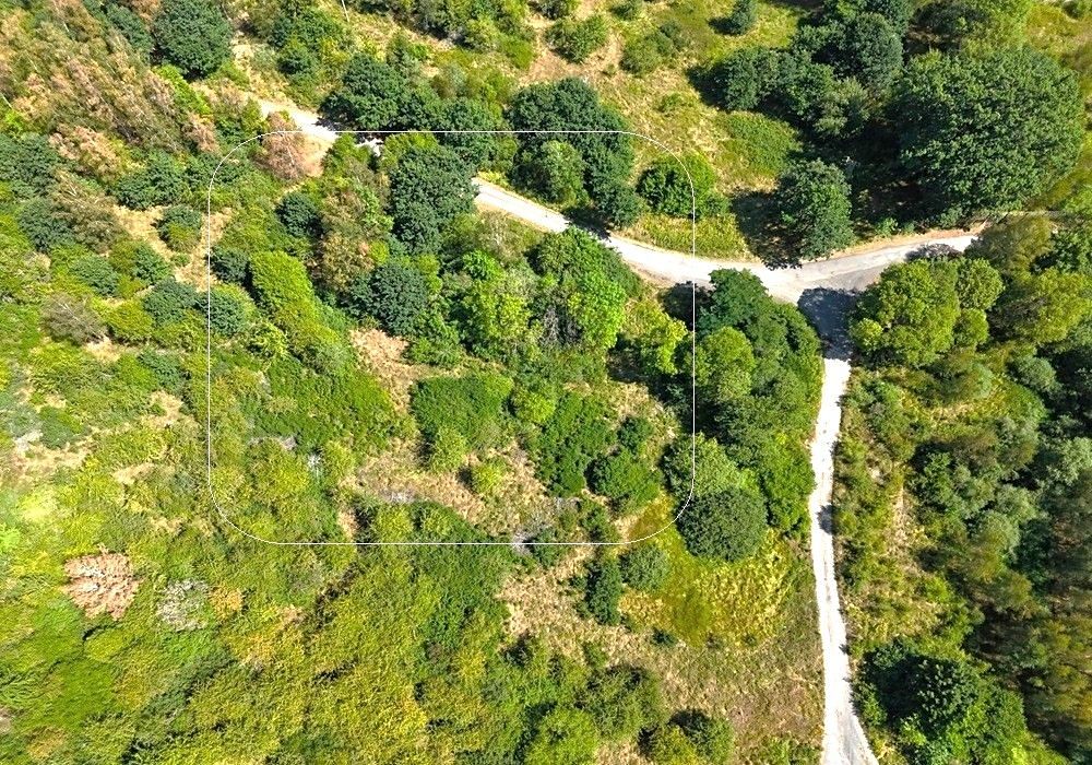 Prodej stavebního pozemku 3054 m² – fotografie 2