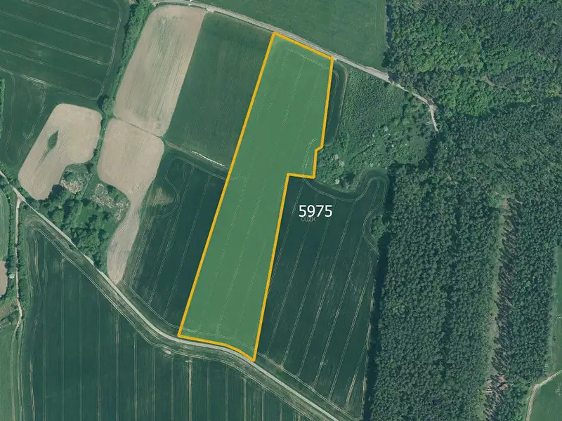 Prodej pole 77267 m², Slabčice – náhled fotky 3