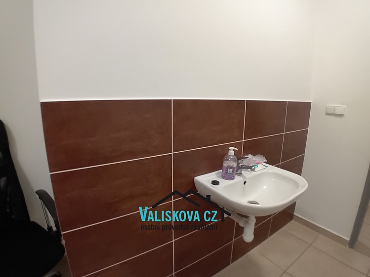 Pronájem komerčního prostoru, 210 m² (5 z 16)