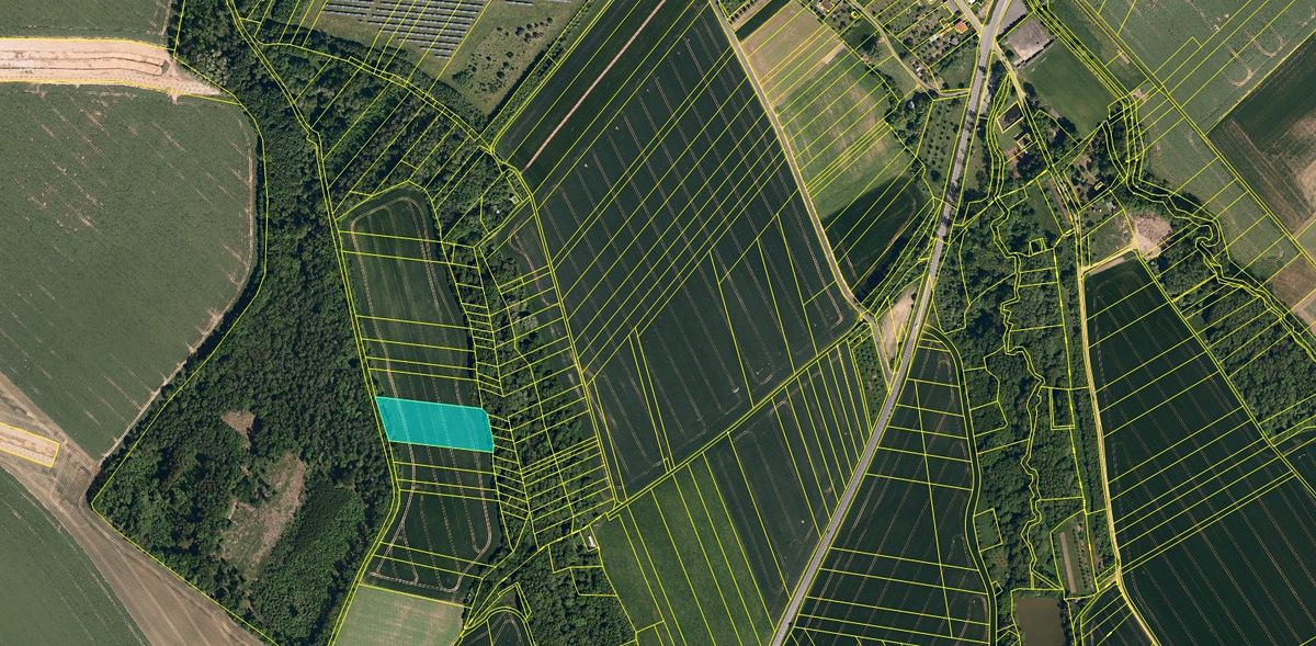 Prodej pole 6836 m² – fotografie 2