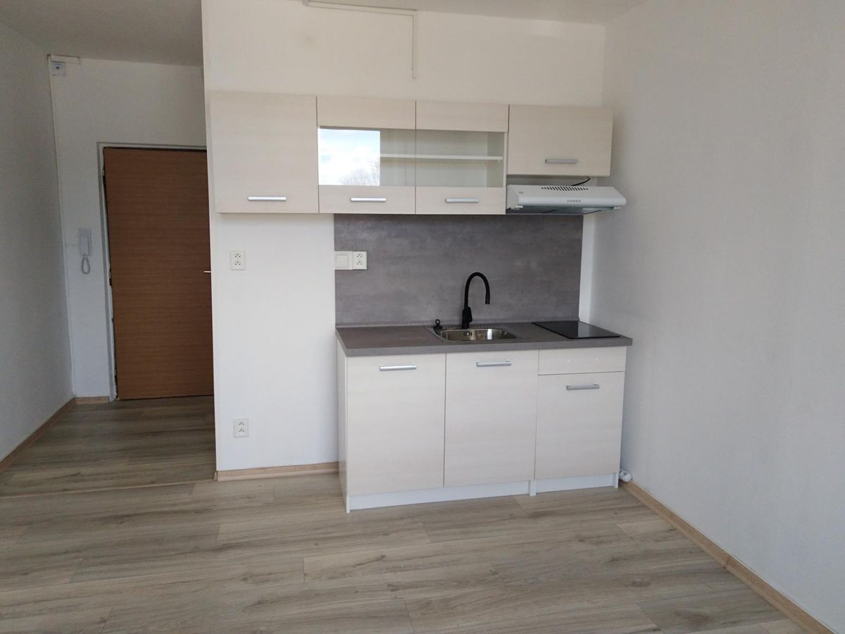 Pronájem bytu 1+kk 20 m²