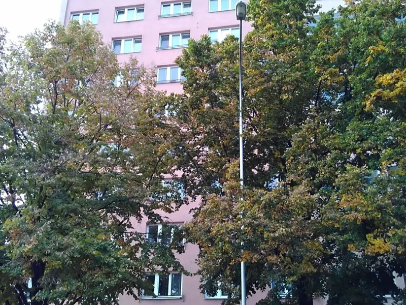 Prodej bytu 2+kk 37 m², Ostrava – náhled fotky 1