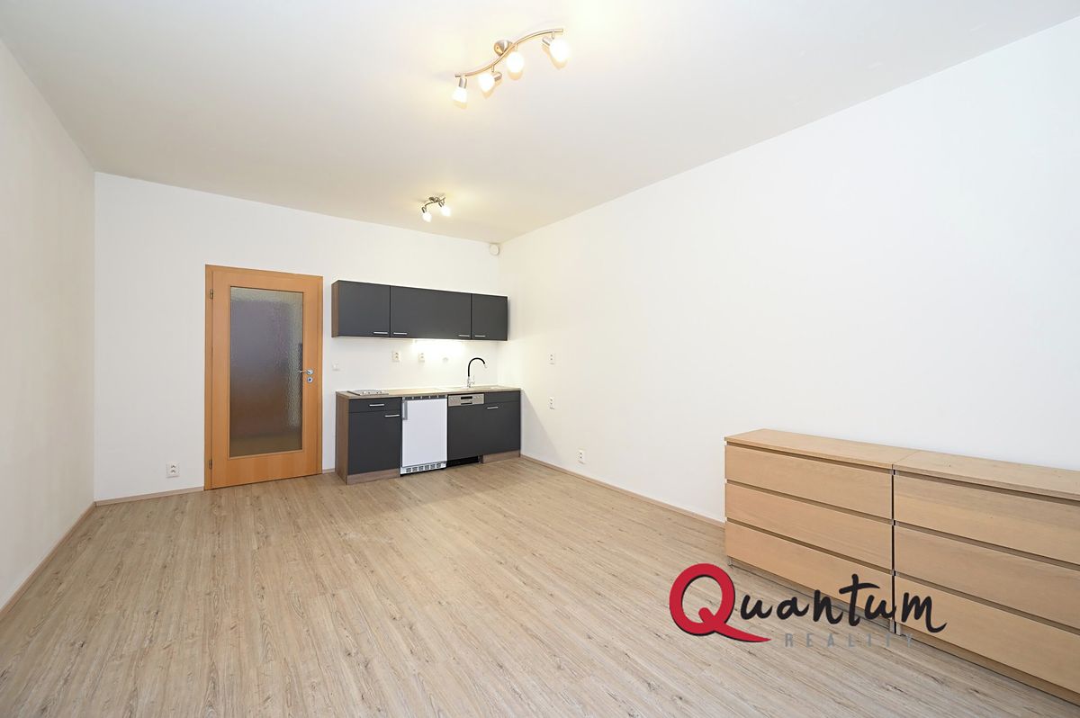 Pronájem bytu 1+kk 30 m² – fotografie 2