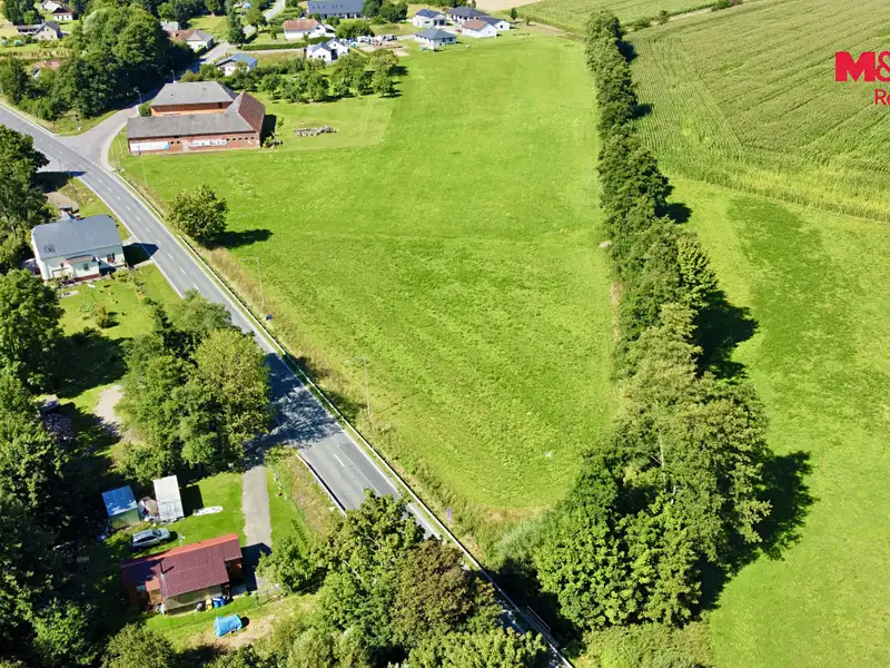 Prodej stavebního pozemku 5033 m², Damníkov – náhled fotky 3