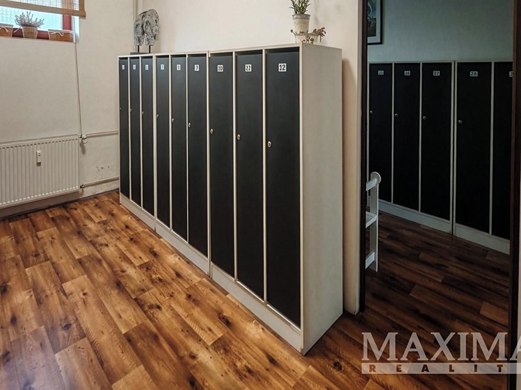 Pronájem komerčního prostoru, 228 m² (3 z 19)