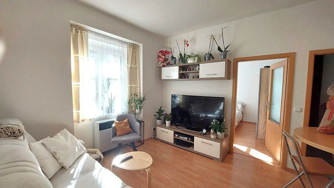 Pronájem bytu 4+kk 55 m² – fotografie 2