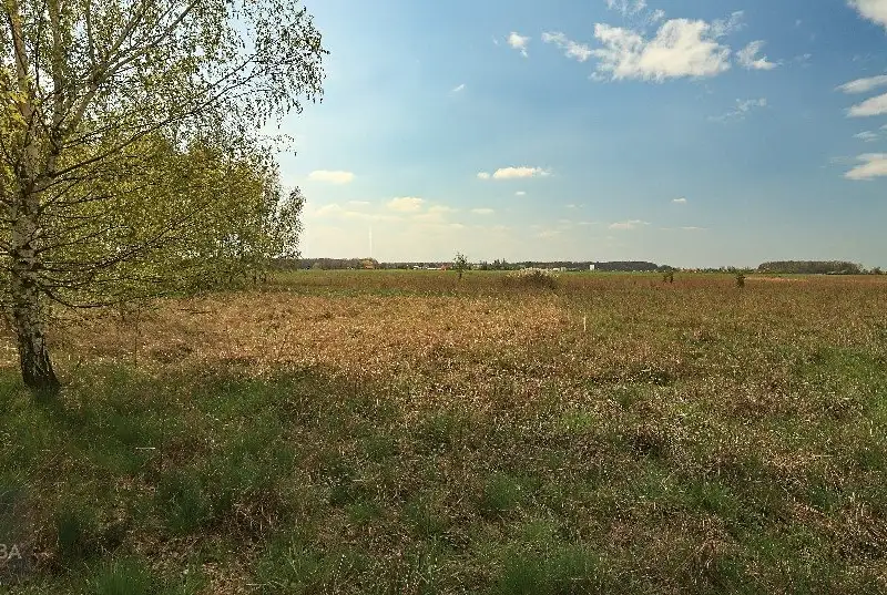 Prodej rodinného domu 132 m², pozemek 818 m², Poděbrady – náhled fotky 3