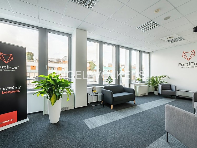 Комерційне приміщення в оренду, 553 м² (12 з 13)