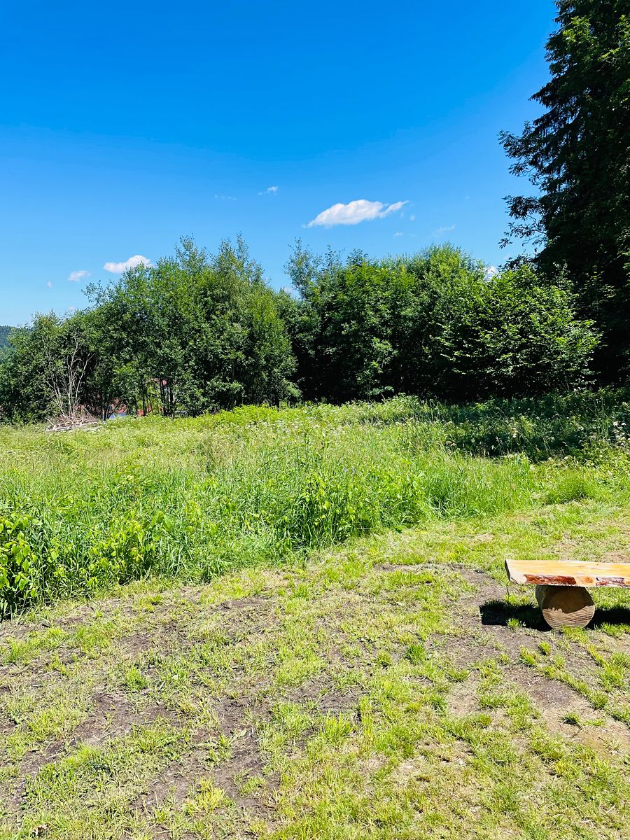 Prodej stavebního pozemku 1200 m² – fotografie 3