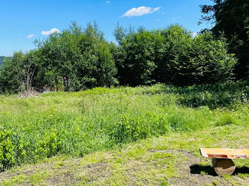 Prodej stavebního pozemku 1200 m², Hořice na Šumavě – náhled fotky 3
