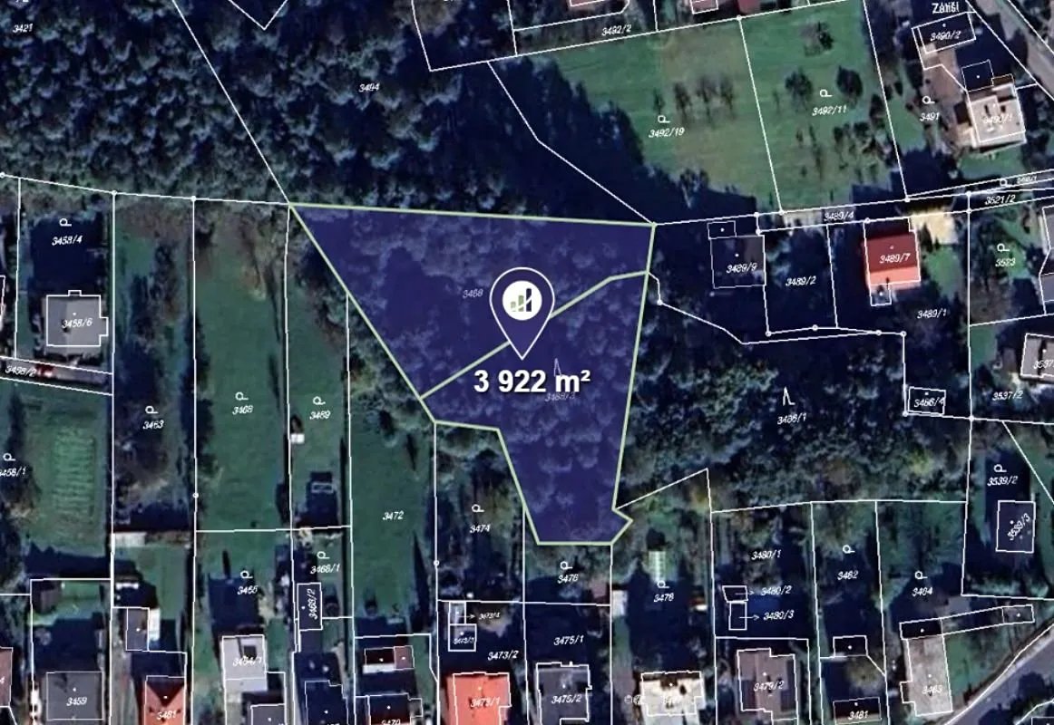 Prodej lesa 3922 m²