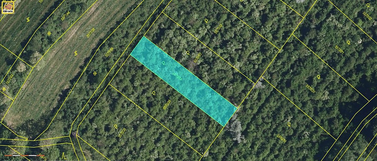 Prodej sadu, vinice 6750 m² – fotografie 3