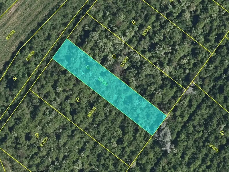 Prodej sadu, vinice 6750 m², Hustopeče – náhled fotky 3
