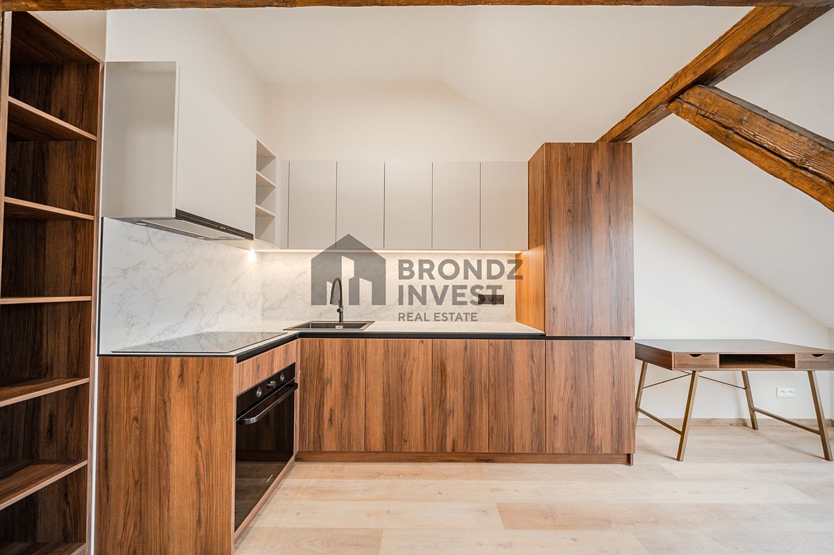 Pronájem bytu 1+kk 70 m² – fotografie 4