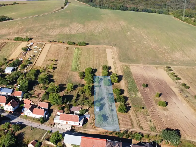 Prodej stavebního pozemku 2000 m², Nikolčice – náhled fotky 1