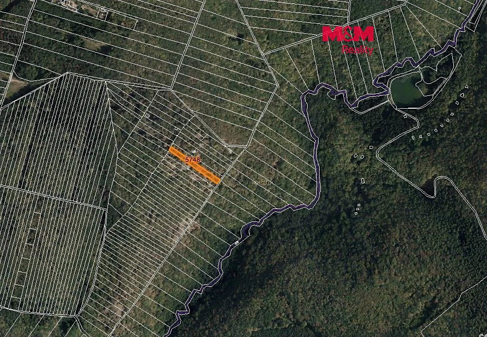 Prodej lesa 1781 m²
