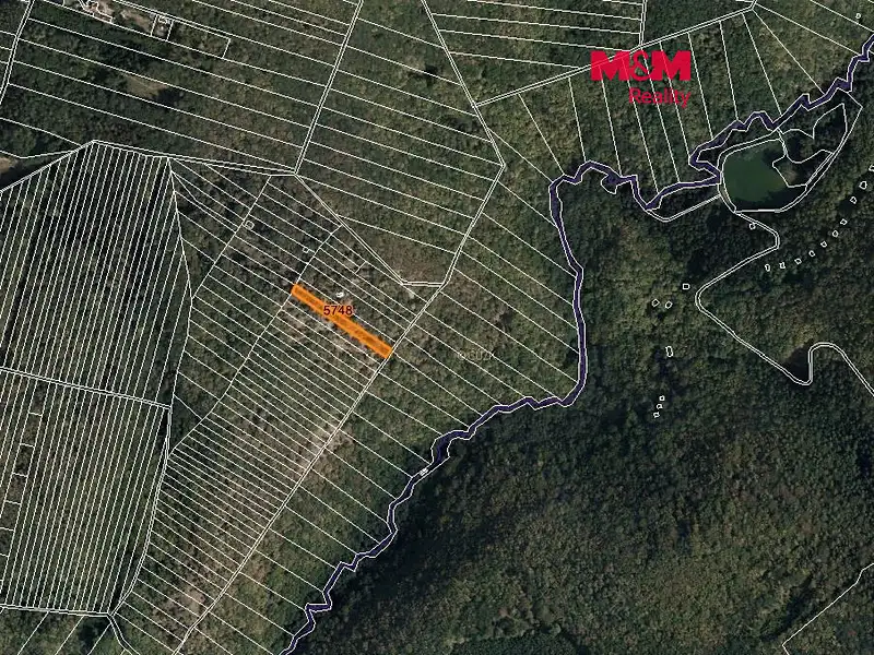 Prodej lesa 1781 m², Brno – náhled fotky 1
