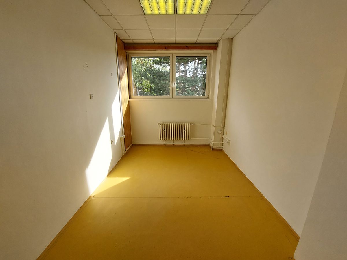 Pronájem kanceláře 20 m² – fotografie 3