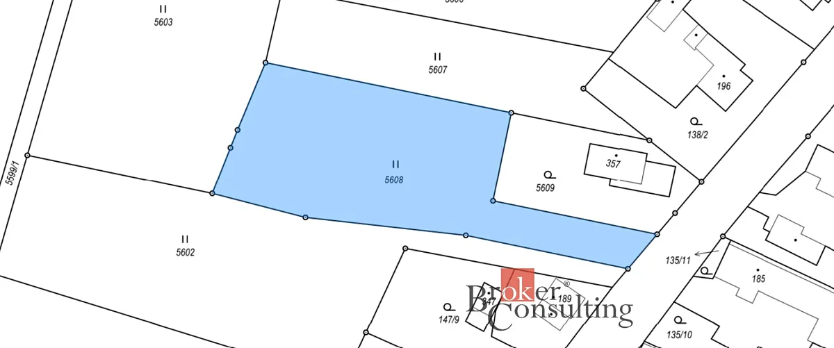 Fotka 9 z 9