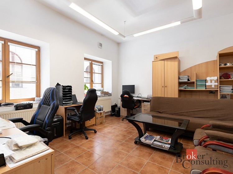 Gewerbefläche zur Miete, 225 m² (3 von 10)
