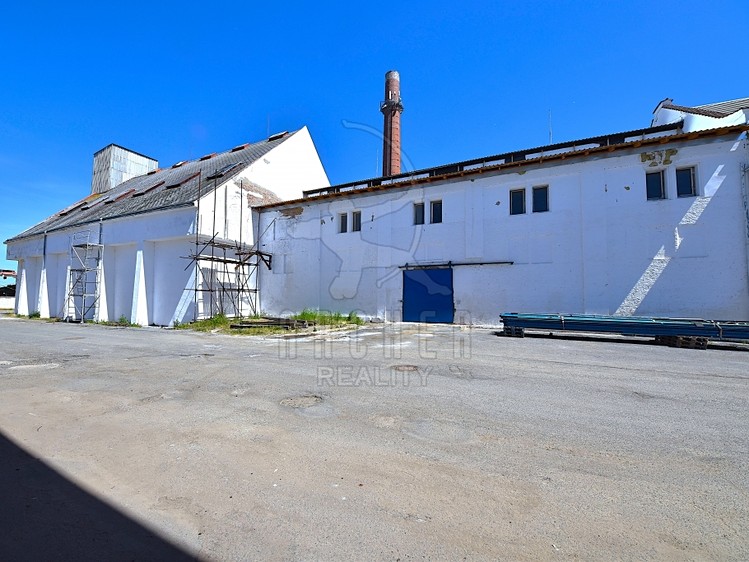 Gewerbefläche zum Kauf, 1.200 m² (7 von 19)