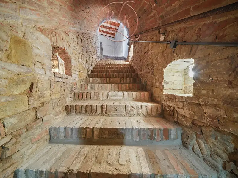 Prodej vinného sklepa 153 m², Přítluky – náhled fotky 3