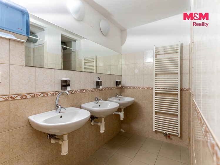 Комерційне приміщення на продаж, 305 м² (14 з 18)