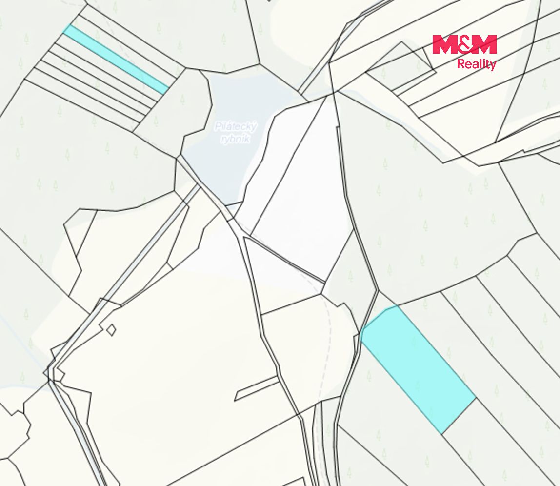 Prodej lesa 7873 m² – fotografie 2