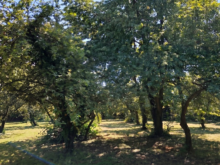 Prodej pozemku, 1 100 m² (9 z 12)