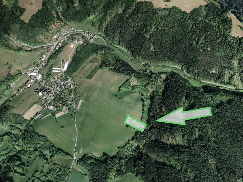 Prodej lesa 9474 m², Zábřeh – náhled fotky 2