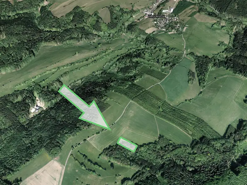 Prodej lesa 4478 m², Zábřeh – náhled fotky 2
